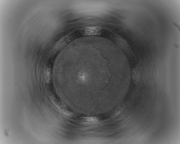 X0000103270741200809122135
