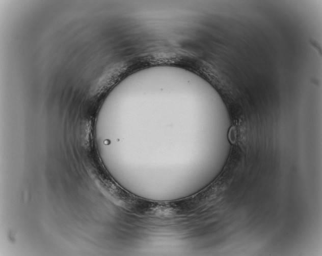 X0000103270742200809122135