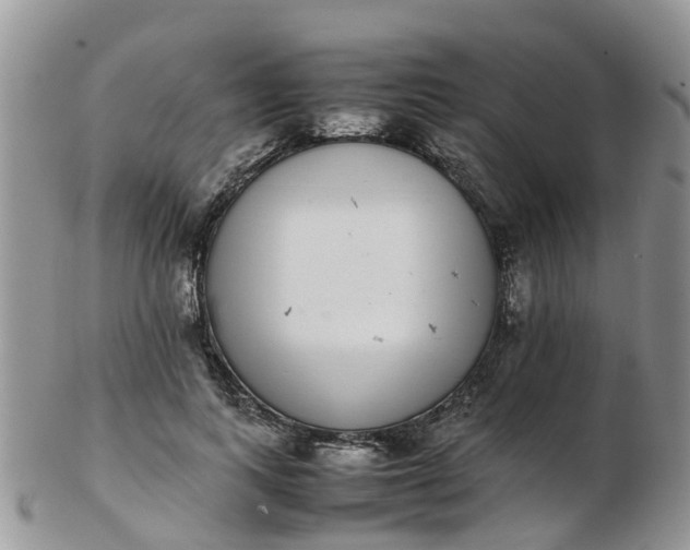 X0000103270743200809122135