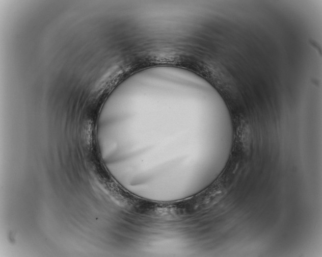X0000103270744200809122135