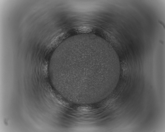 X0000103270745200809122135