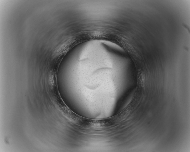 X0000103270746200809122135