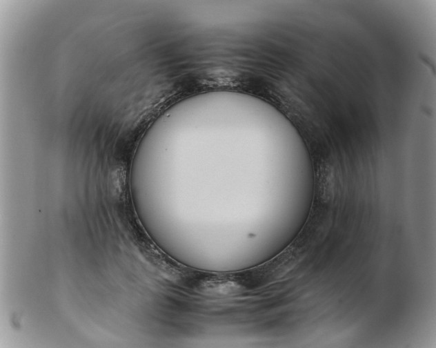 X0000103270747200809122135