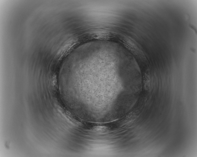 X0000103270748200809122135