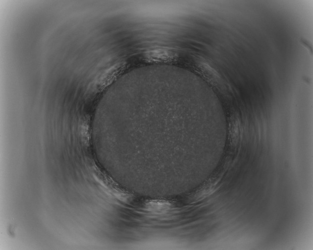 X0000103270749200809122135