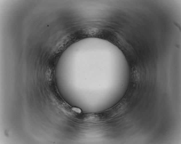 X0000103270750200809122135