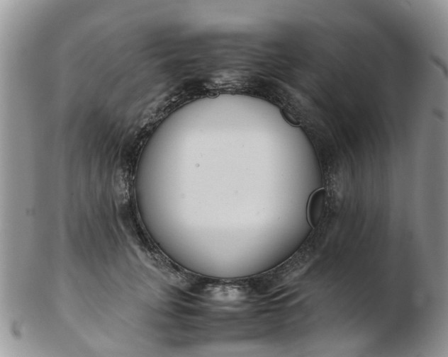 X0000103270751200809122135