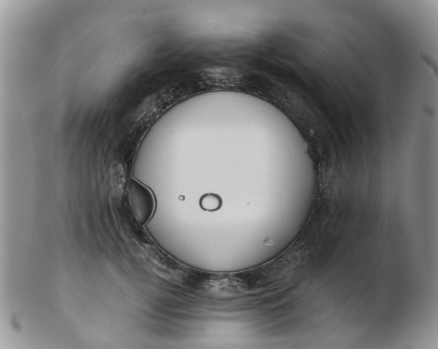 X0000103270752200809122135