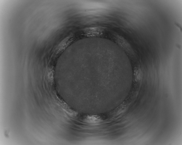 X0000103270753200809122135