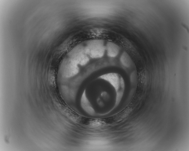 X0000103270754200809122135