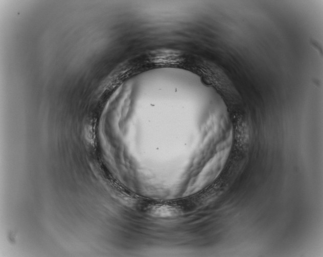 X0000103270755200809122135