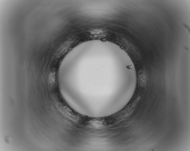 X0000103270756200809122135