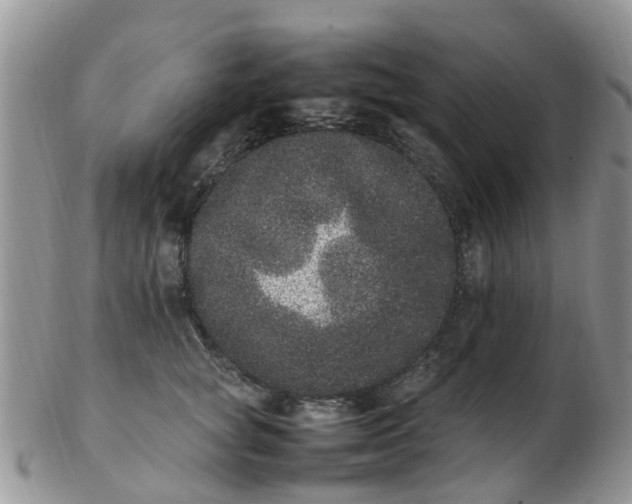X0000103270757200809122136