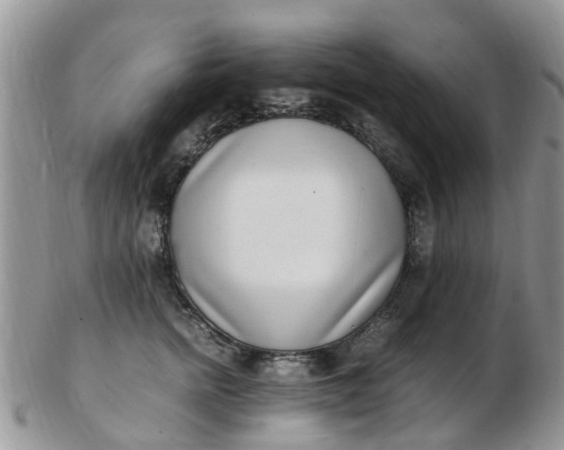 X0000103270758200809122136