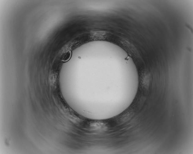 X0000103270759200809122136