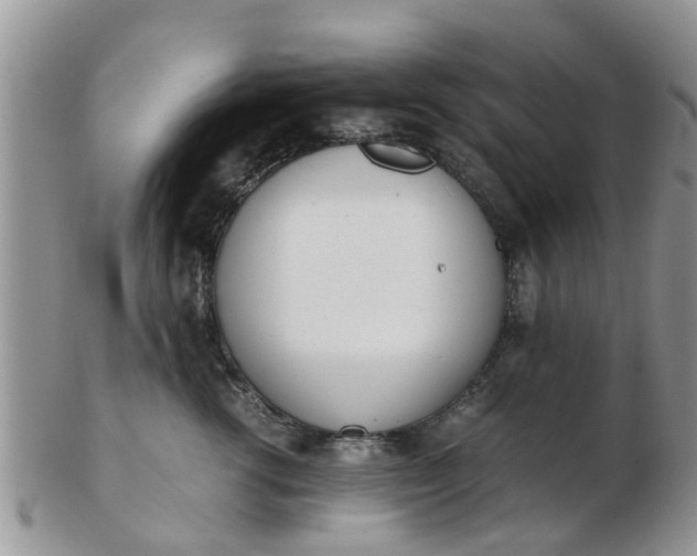X0000103270762200809122136