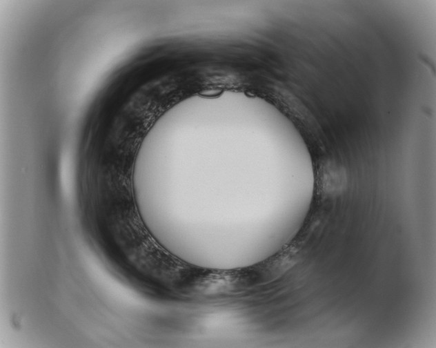 X0000103270764200809122136