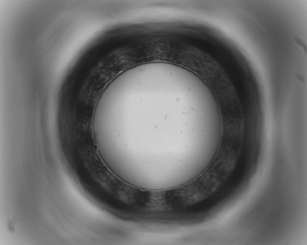 X0000103270766200809122136