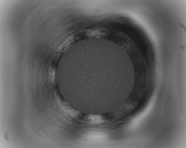 X0000103270767200809122136