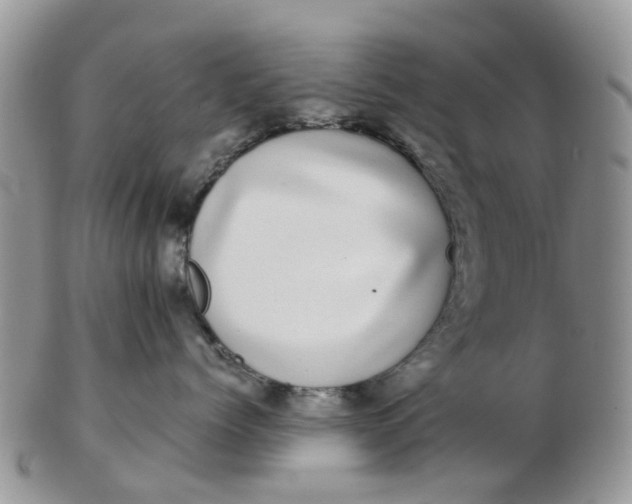 X0000103270768200809122136