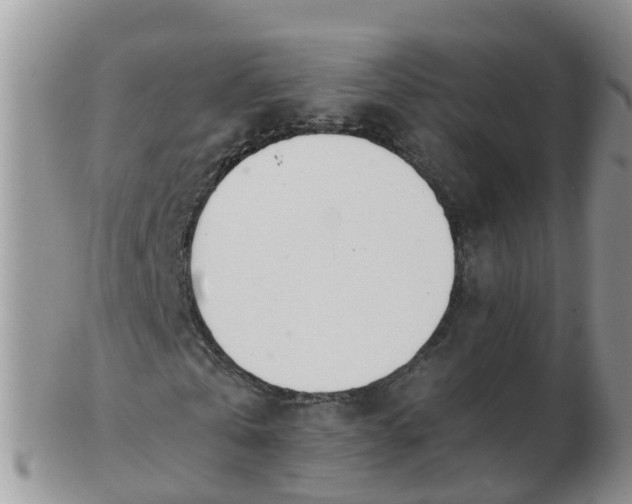 X0000103270769200809122135