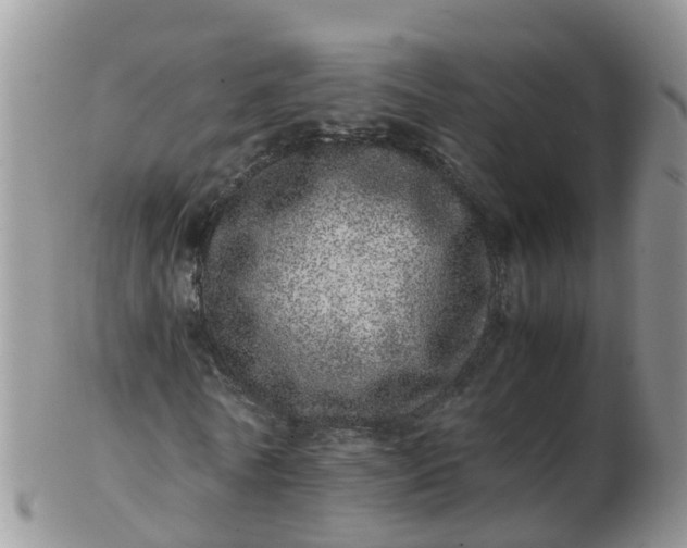 X0000103270770200809122135