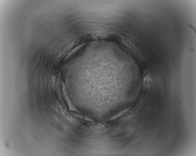 X0000103270772200809122135