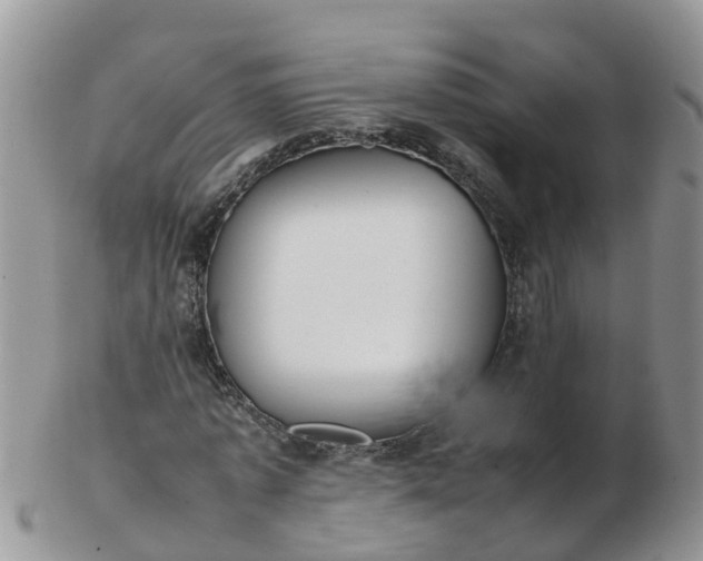 X0000103270773200809122135