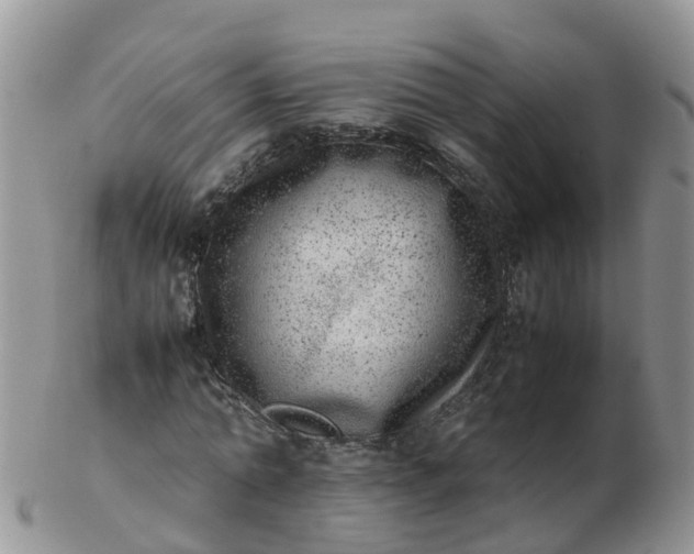 X0000103270774200809122135
