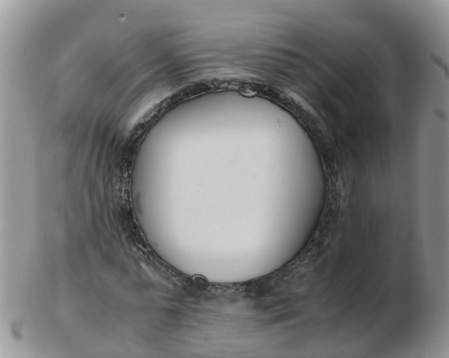 X0000103270775200809122135