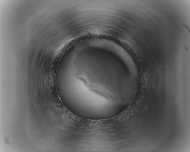 X0000103270776200809122135