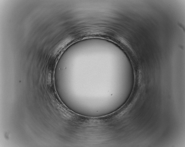 X0000103270777200809122135