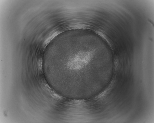 X0000103270778200809122135