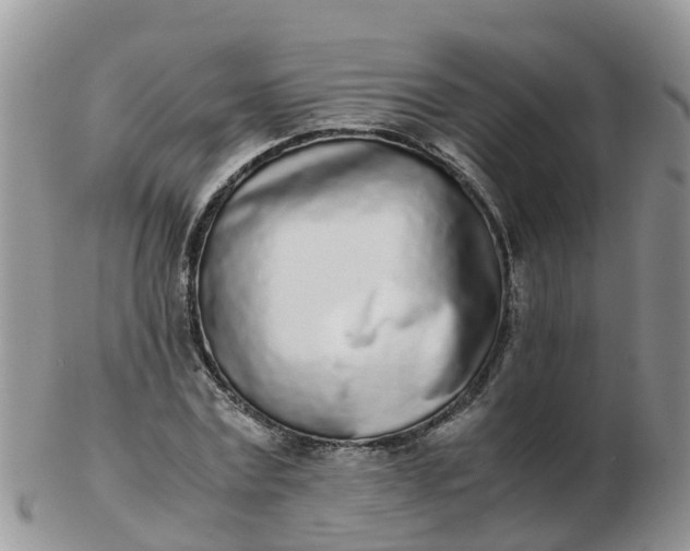 X0000103270779200809122135