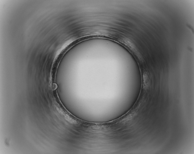 X0000103270780200809122135