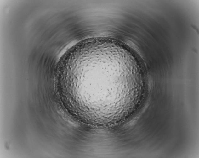 X0000103270781200809122135