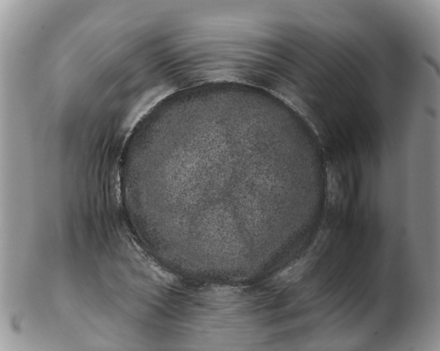 X0000103270782200809122135