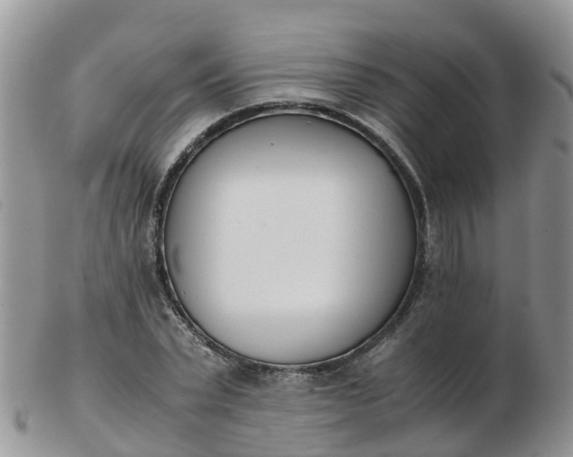X0000103270783200809122135