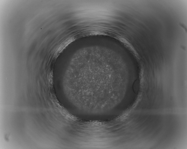 X0000103270785200809122135