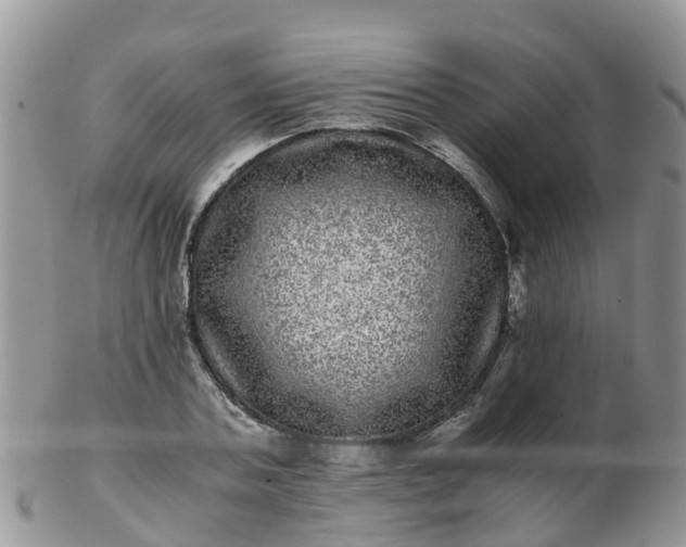 X0000103270787200809122135
