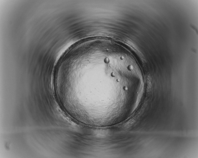 X0000103270788200809122135