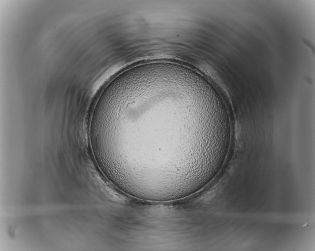 X0000103270789200809122135