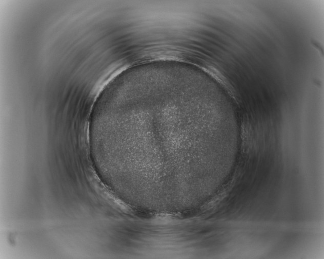 X0000103270790200809122135