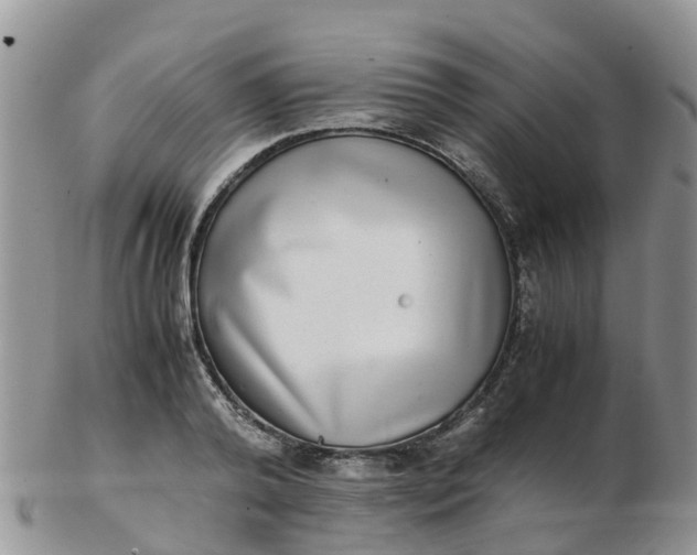 X0000103270792200809122135