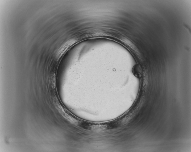 X0000103270793200809122135