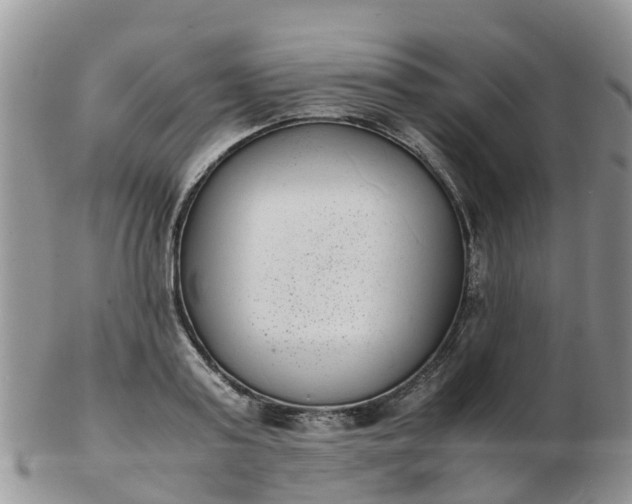 X0000103270795200809122135