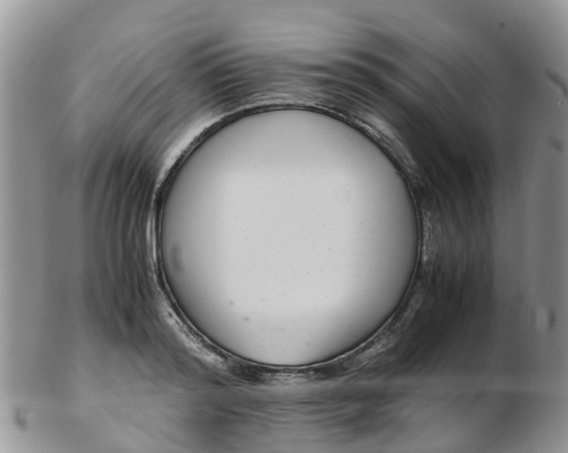 X0000103270796200809122135