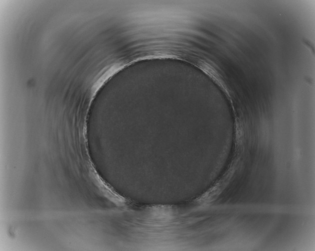 X0000103270797200809122135