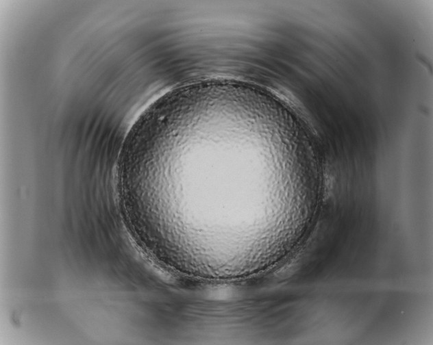 X0000103270798200809122135