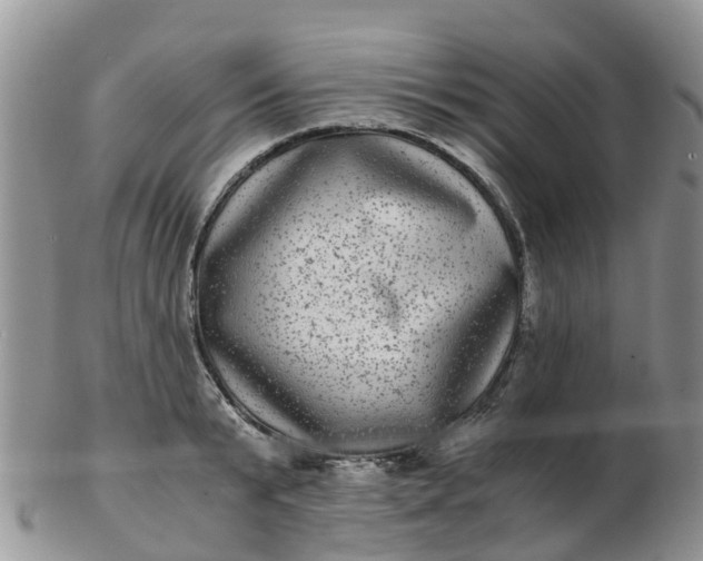 X0000103270799200809122135